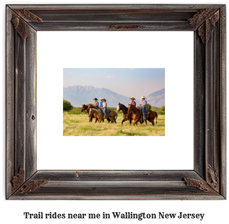 trail rides near me in Wallington, New Jersey